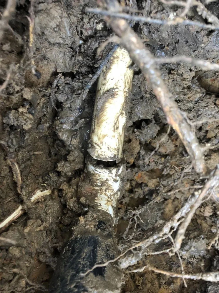 Affordable garden landscaping near you across Katy, TX - Skystone Landscape