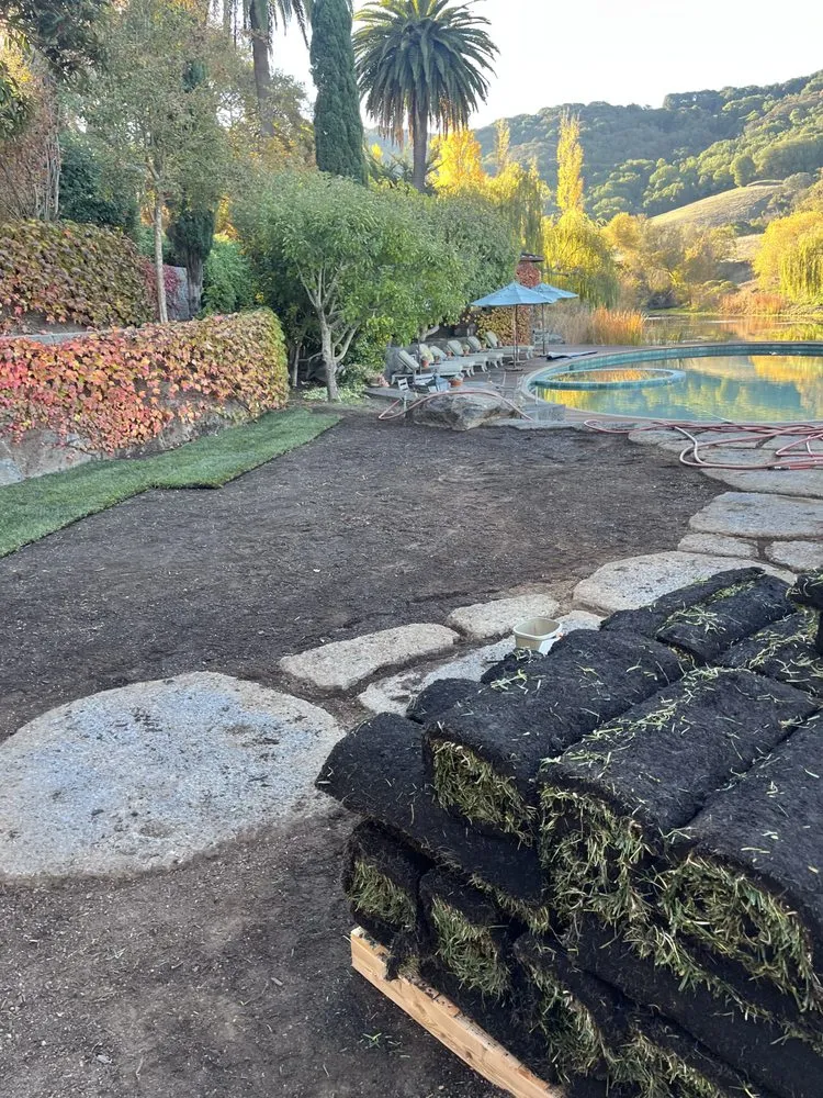 Reliable yard cleanup service in Rohnert Park, CA - SkyView Tree Experts