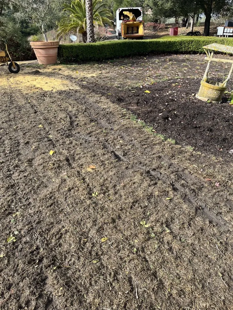 Custom landscape installation experts serving Rohnert Park, CA - SkyView Tree Experts