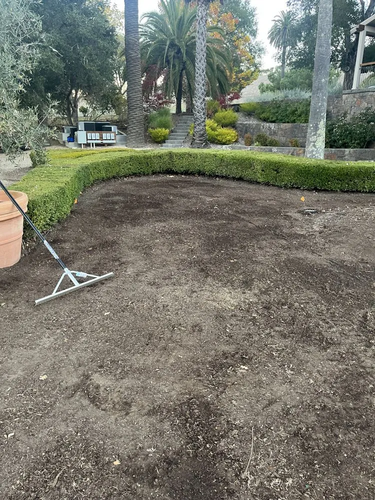 Expert lawn care service near you in Rohnert Park, CA by SkyView Tree Experts