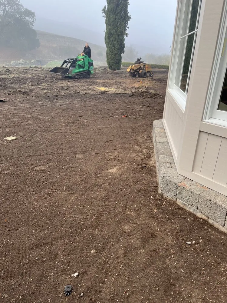 Trusted yard cleanup service near you in Rohnert Park, CA by SkyView Tree Experts