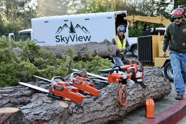 Trusted lawn mowing service experts serving Rohnert Park, CA - SkyView Tree Experts