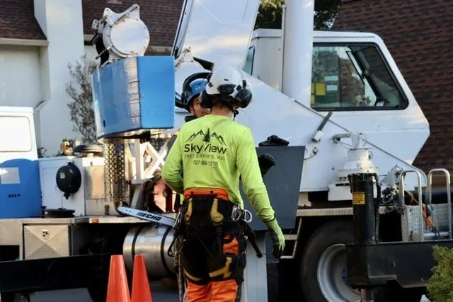 Trusted lawn care service in Rohnert Park, CA - SkyView Tree Experts