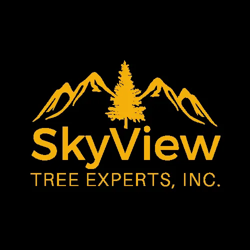 Expert lawn care service in Rohnert Park, CA - SkyView Tree Experts