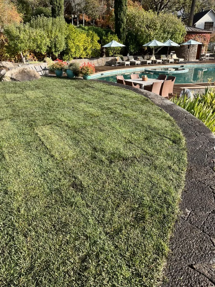 Affordable landscape installation experts serving Rohnert Park, CA - SkyView Tree Experts