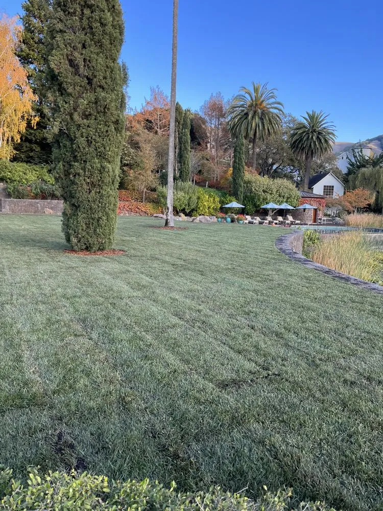 Professional lawn mowing service experts serving Rohnert Park, CA - SkyView Tree Experts