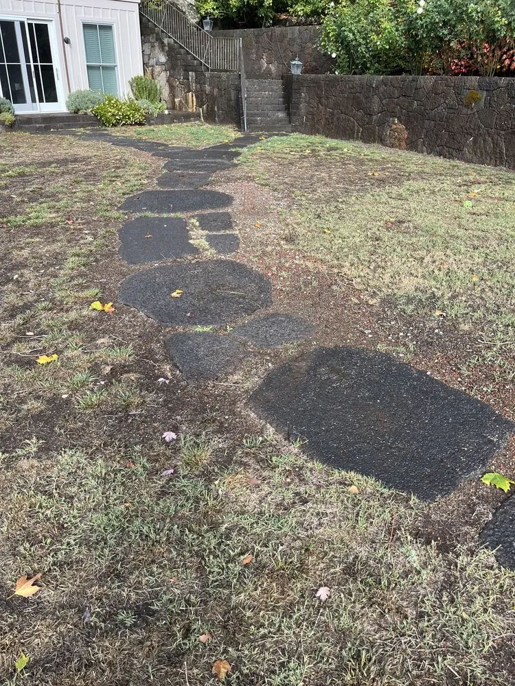 Trusted residential landscaping for residential properties in Rohnert Park, CA by SkyView Tree Experts