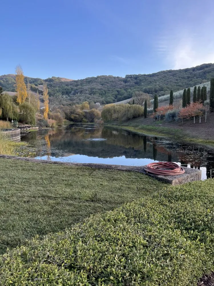 Top-rated landscape installation with custom design across Rohnert Park, CA - SkyView Tree Experts