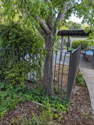 SkyView Tree Experts