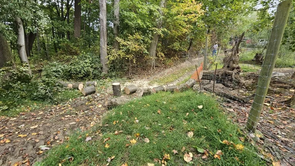 Reliable lawn mowing service experts serving Tunnelton, WV - Skyward Tree Service & Maintenance