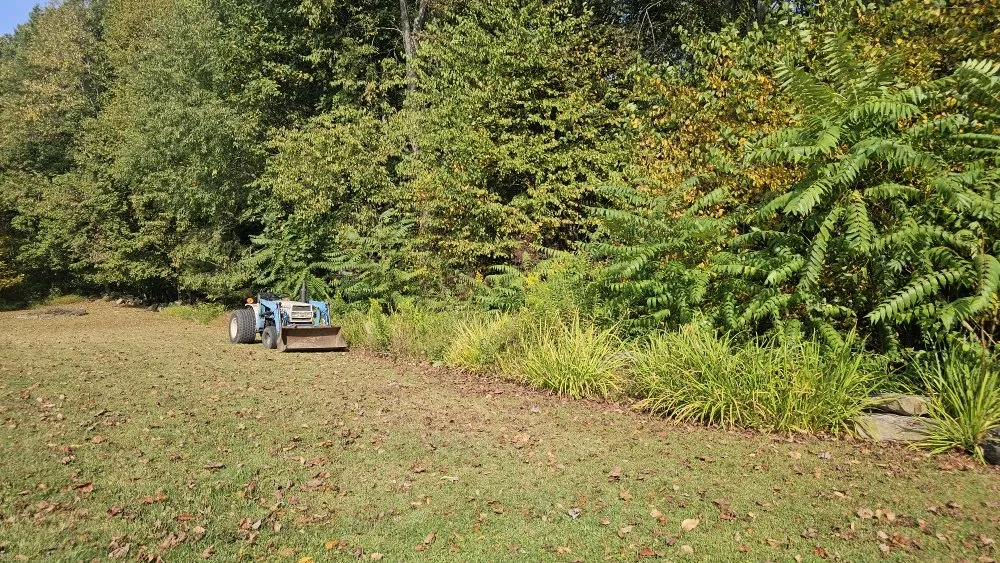 Local landscape design near you in Tunnelton, WV by Skyward Tree Service & Maintenance