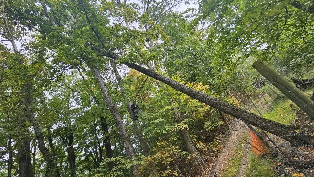 Affordable lawn care service for residential properties in Tunnelton, WV by Skyward Tree Service & Maintenance