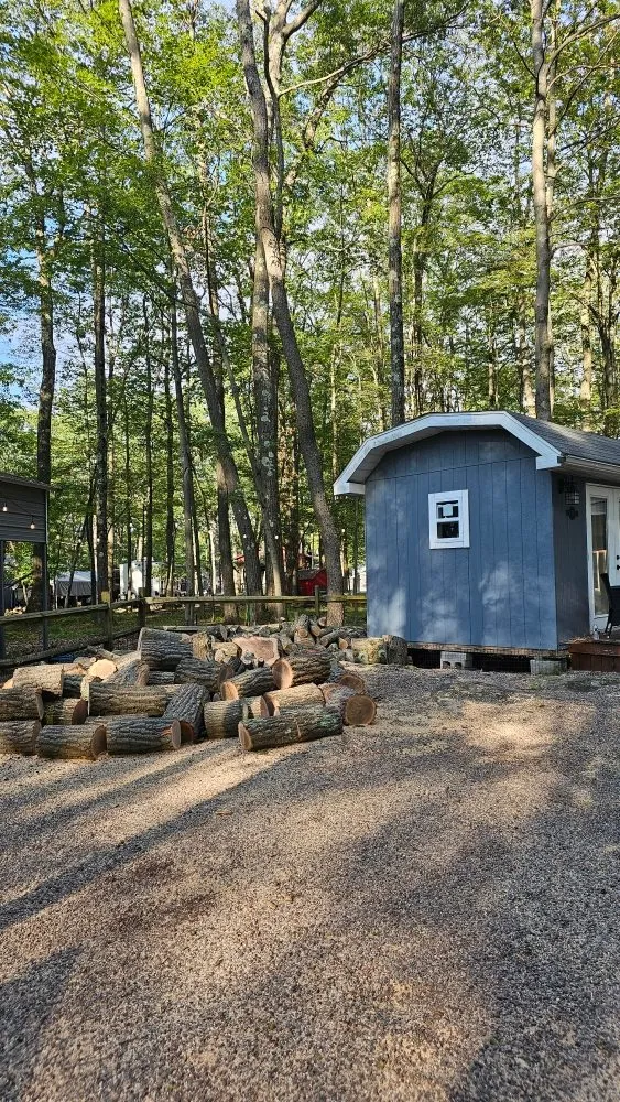 Expert landscaping services experts serving Tunnelton, WV - Skyward Tree Service & Maintenance
