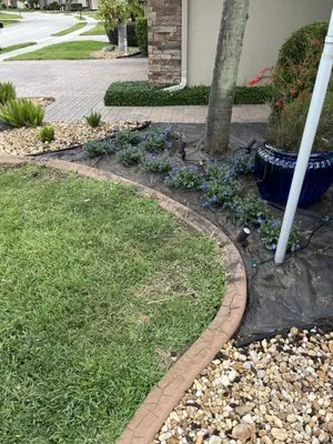 Skyys The Limit Landscaping