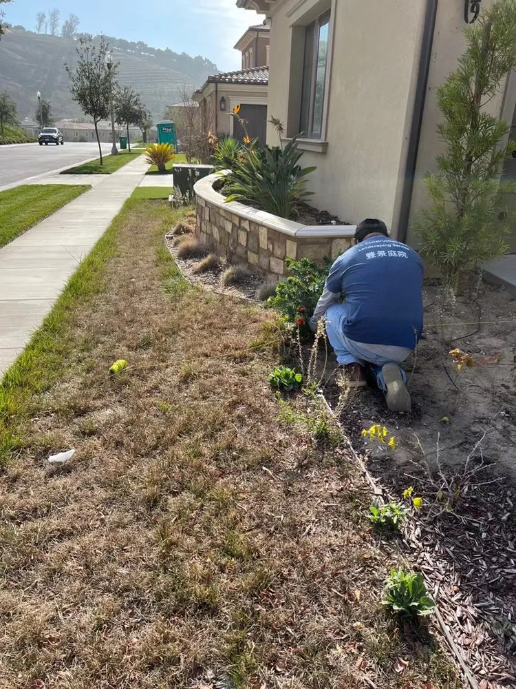 Expert lawn mowing service in Irvine, CA - S&L Construction And Landscaping Service