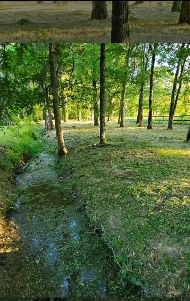 Top-rated yard cleanup service in Selma, AL by S.L. Landscape