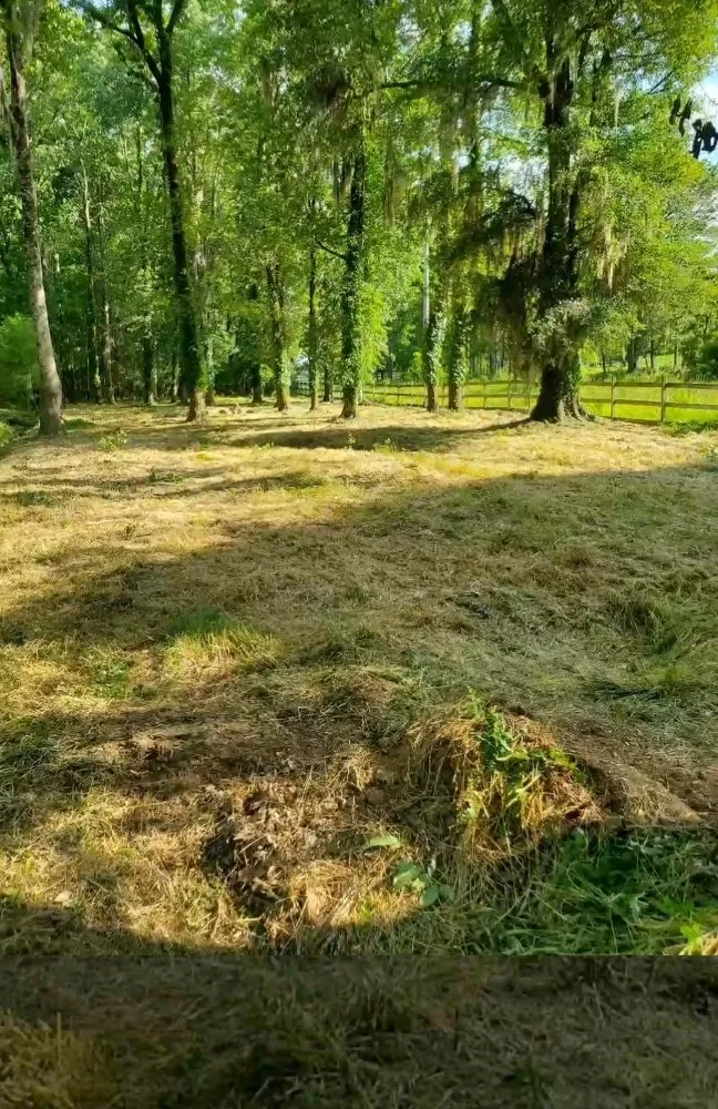 Trusted lawn care service experts serving Selma, AL - S.L. Landscape