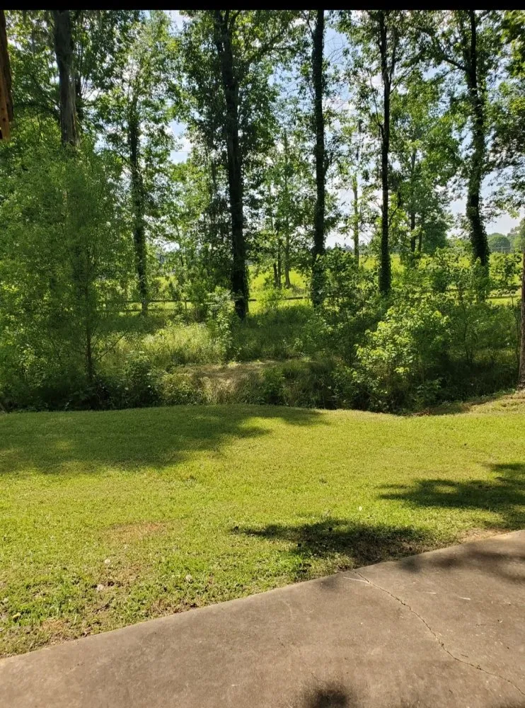 Affordable landscaping services in Selma, AL - S.L. Landscape