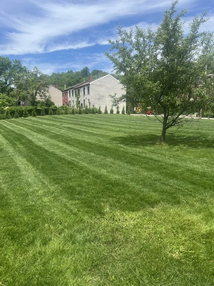 Affordable landscaping services experts serving Apollo, PA - S&L Landscapeing and Construction