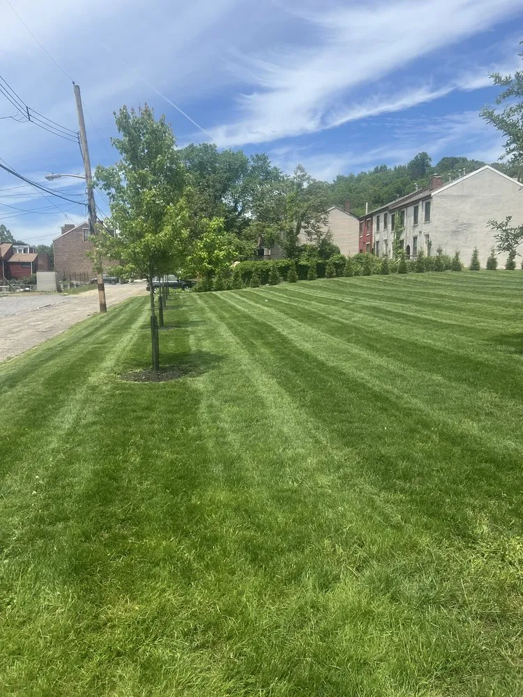 Professional residential landscaping near you across Apollo, PA - S&L Landscapeing and Construction