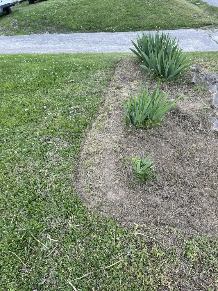 Expert residential landscaping in South Pittsburg, TN by S&L Landscaping and Construction