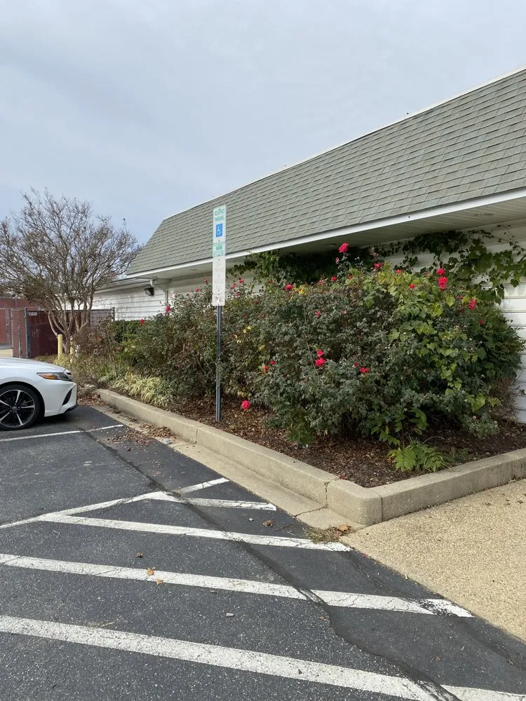 Expert yard cleanup service experts serving Lexington Park, MD - S&L Landscaping Maintenance