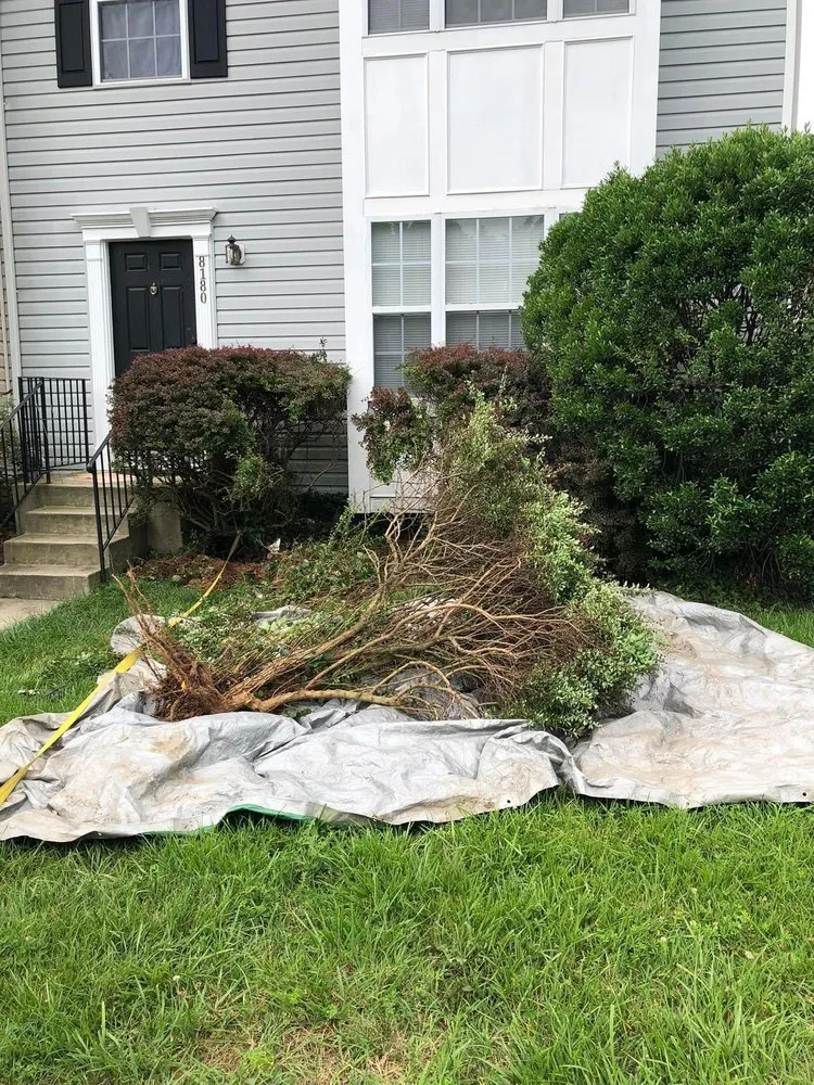 Reliable landscape design experts serving Lexington Park, MD - S&L Landscaping Maintenance