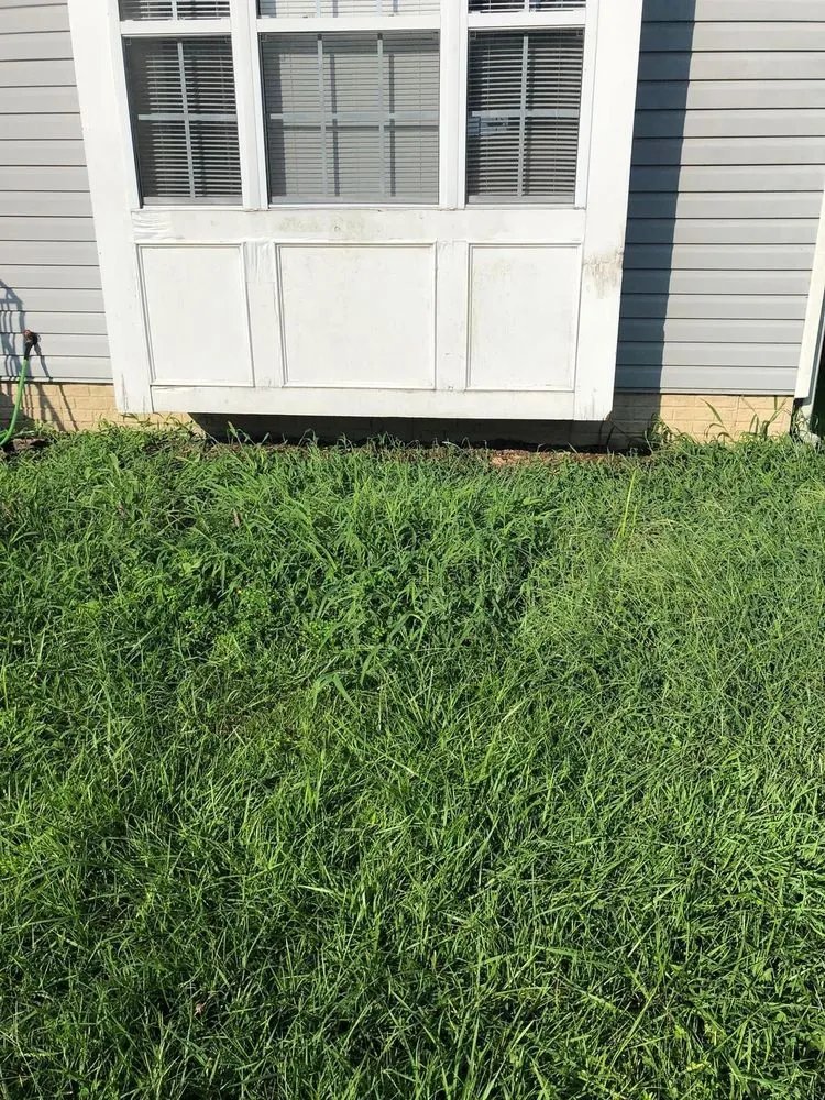 Expert lawn care service in Lexington Park, MD - S&L Landscaping Maintenance