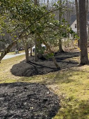 S&L Landscaping Maintenance Logo