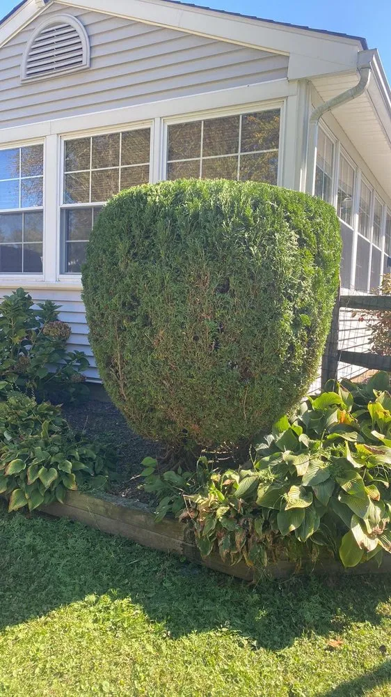 Trusted yard maintenance for beautiful yards in Philadelphia, PA by SL Landscaping