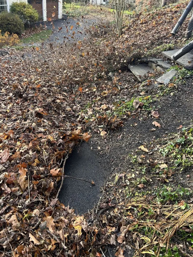 Expert residential landscaping with custom design across Philadelphia, PA - SL Landscaping