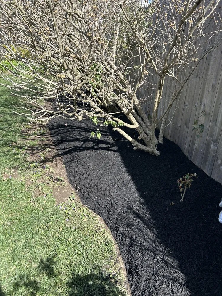 Local landscape installation for year-round maintenance across Philadelphia, PA - SL Landscaping