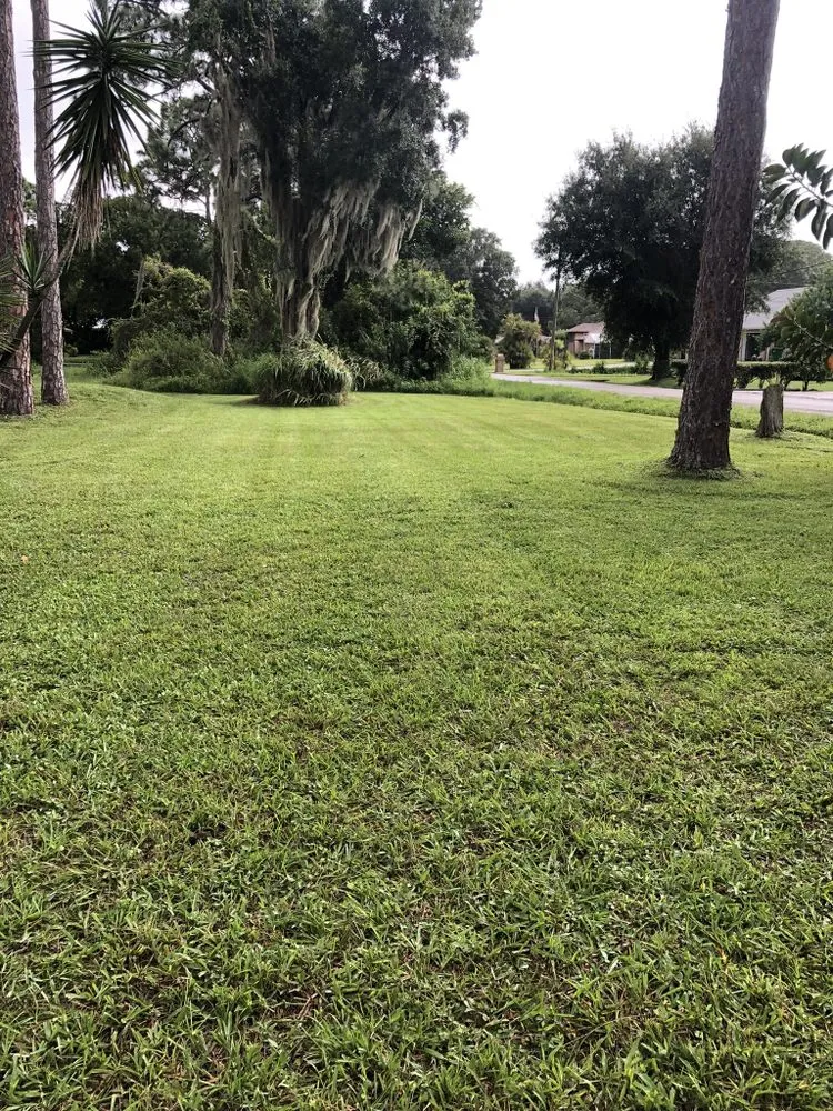 Custom landscape design for residential properties across Fellsmere, FL - S&L Lawn Care and More