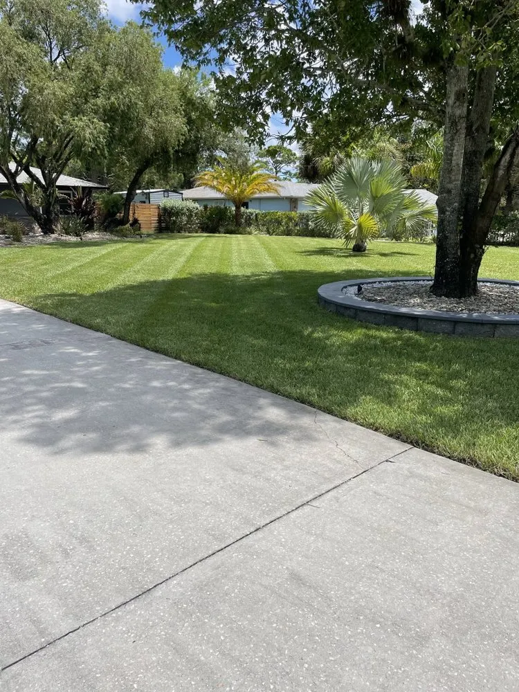 Trusted yard cleanup service in Fellsmere, FL - S&L Lawn Care and More