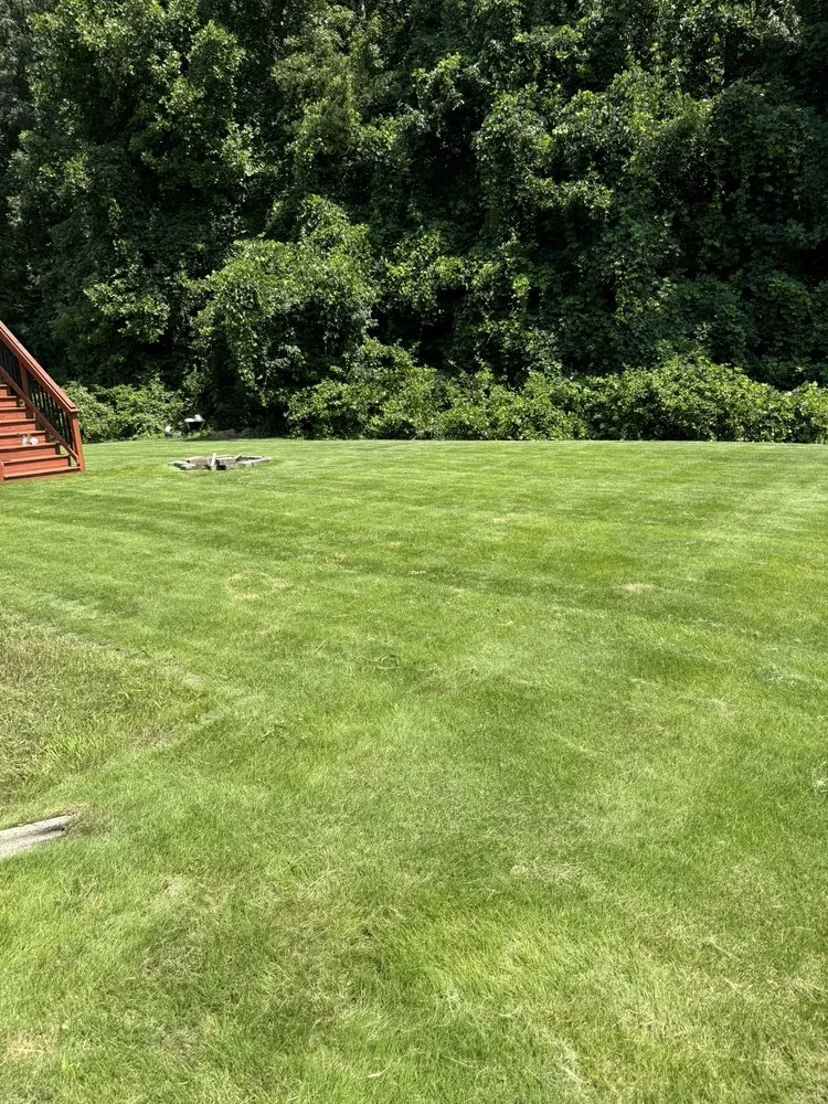 Affordable lawn care service for beautiful yards in Whitsett, NC by S&L Lawn Care