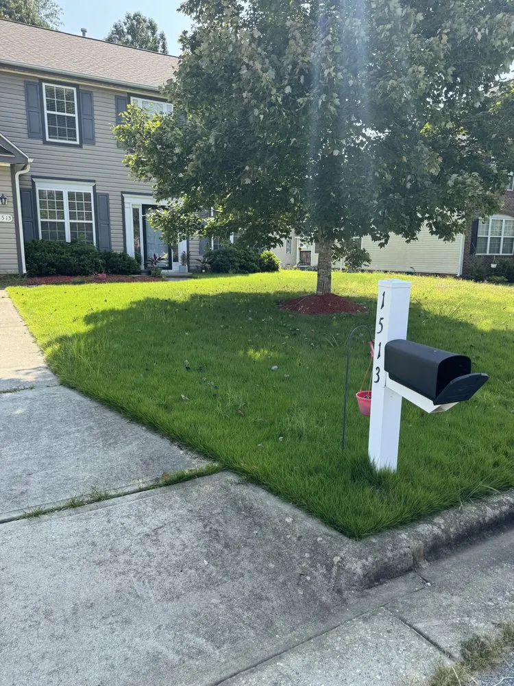 Expert yard maintenance near you in Whitsett, NC by S&L Lawn Care