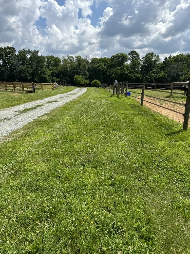 Expert lawn mowing service with custom design in Whitsett, NC by S&L Lawn Care