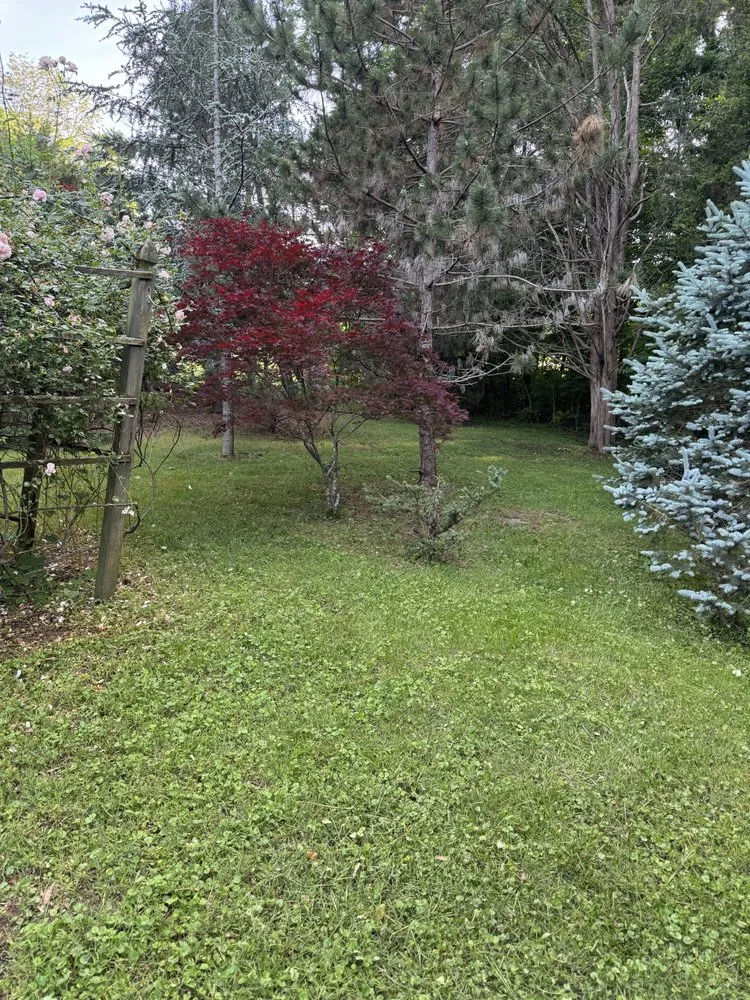 Trusted garden landscaping for beautiful yards in Whitsett, NC by S&L Lawn Care