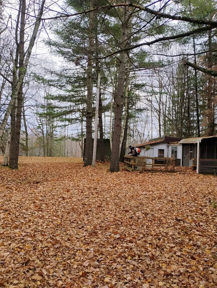Trusted yard cleanup service near you in Pound, WI by Slack's Lawn Care
