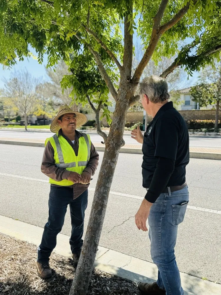 Trusted residential landscaping for homes across Tarzana, CA - Slade Landscape