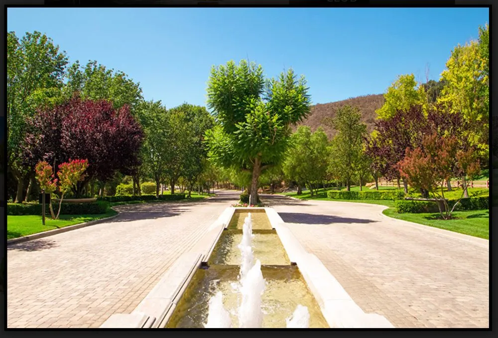 Reliable landscaping services for year-round maintenance in Tarzana, CA by Slade Landscape