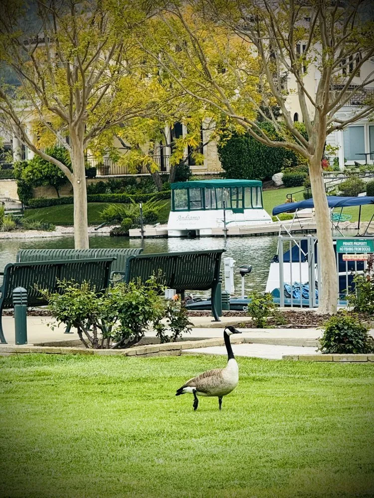 Reliable landscape installation in Tarzana, CA by Slade Landscape