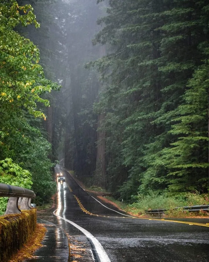 Professional lawn mowing service for homes in Sparta, IL by Slade Scapes & Lawns