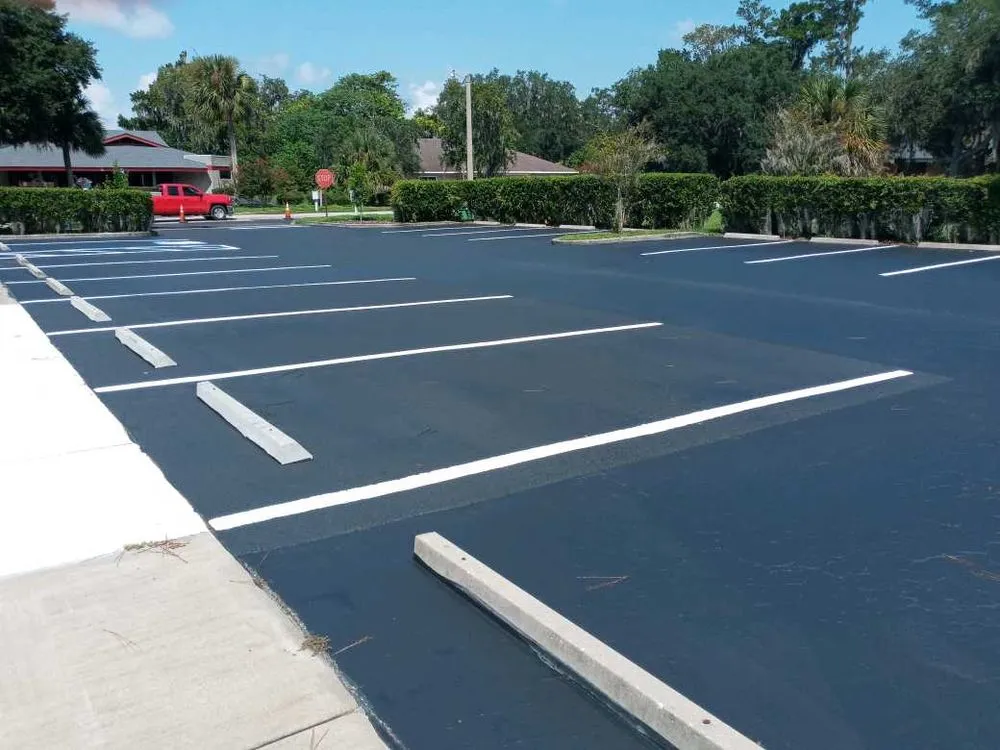 Top-rated yard cleanup service for beautiful yards in Belleview, FL by Slag Services