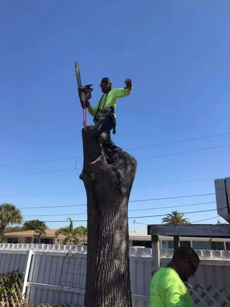 Reliable garden landscaping in Clearwater, FL - Slash Tree Service