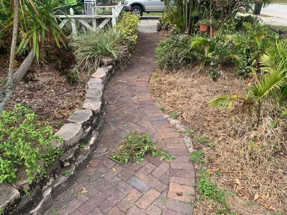 Local lawn mowing service in Clearwater, FL by Slash Tree Service