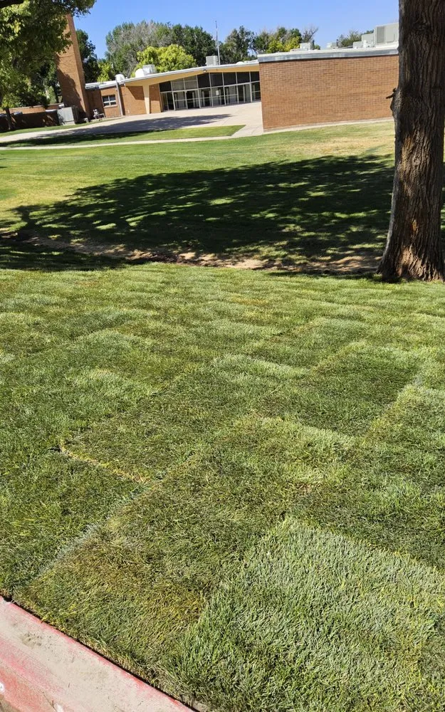 Professional residential landscaping near you in Springville, UT by Slate Canyon Landscaping