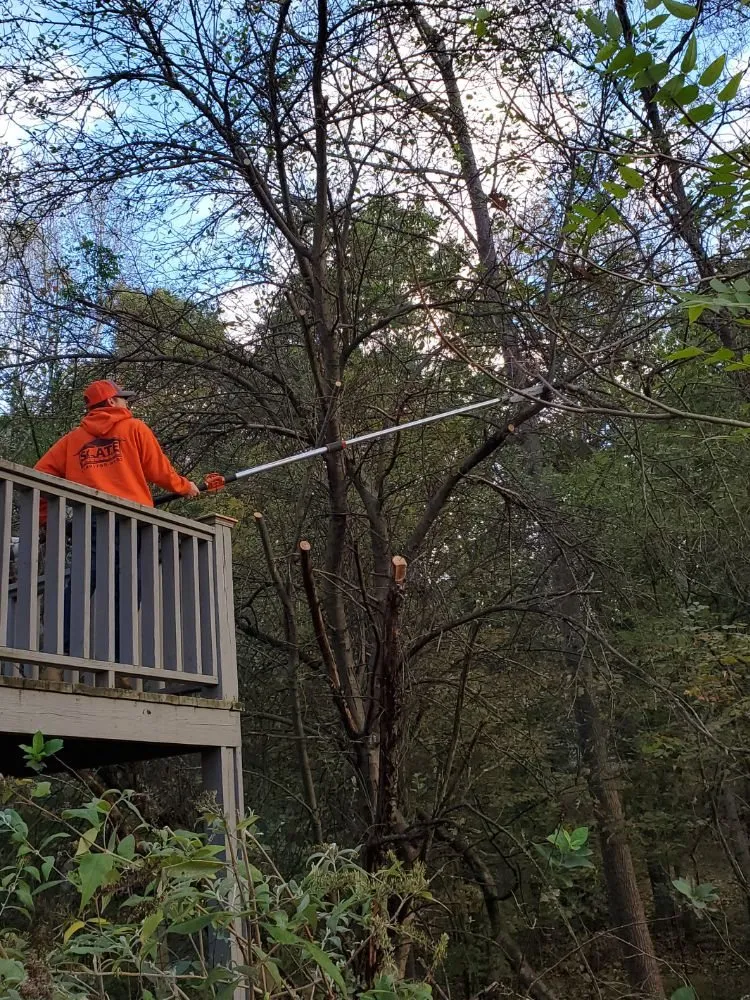 Reliable landscaping services for residential properties across Roanoke, VA - Slate Enterprise