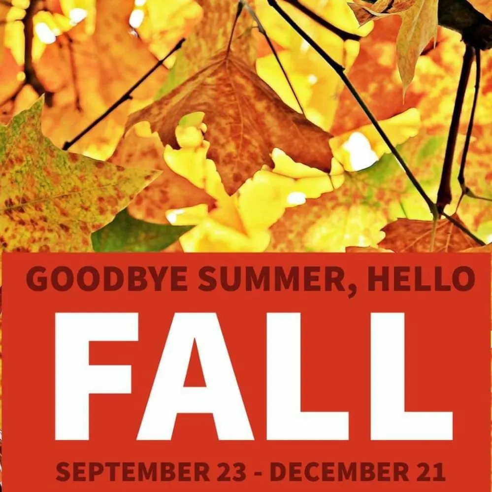 Affordable yard maintenance experts serving Roanoke, VA - Slate Enterprise