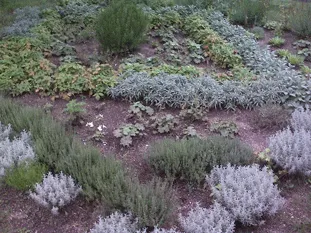 Custom garden landscaping experts serving Mount Laurel, NJ - Slate Landscape, Inc